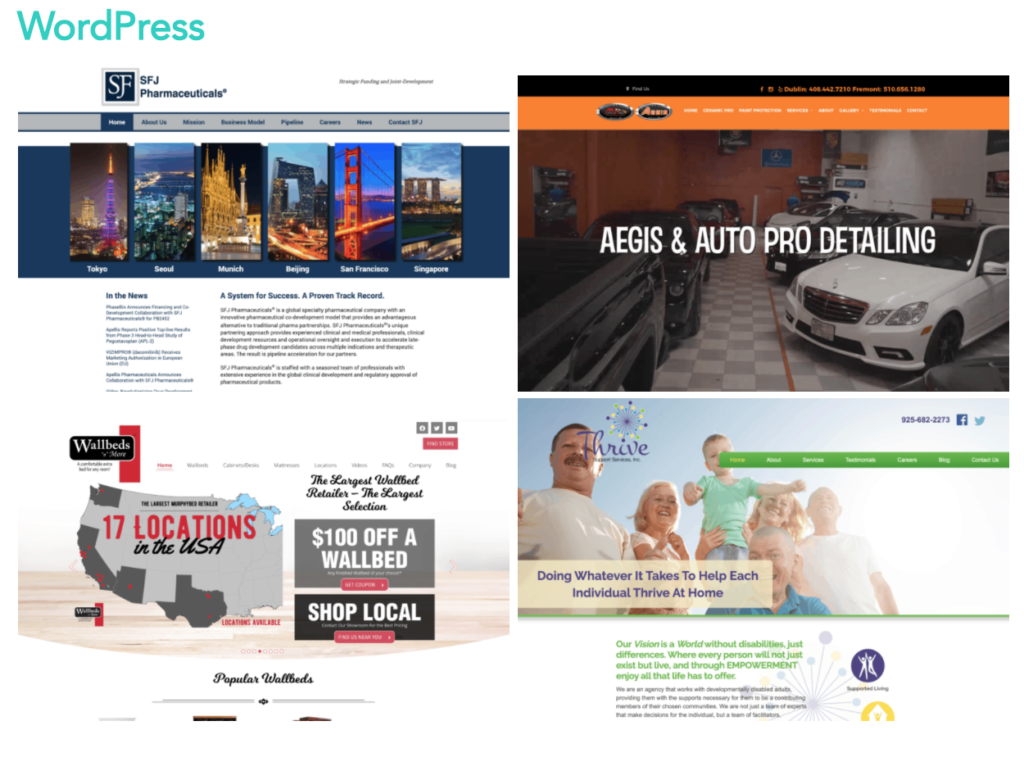Wordpress website design: pharmaceutical research, automotive detailing